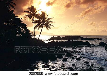 Stock Photo - Hawaii, Oahu, North Shore, Rocky Shoreline With Palms Silhouetted At Sunset. Fotosearch