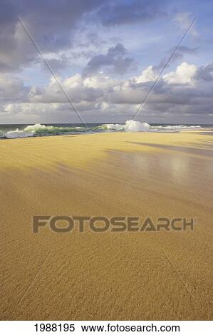 Stock Photography - Hawaii, Oahu, North Shore, Shorebreak Crashing On Sandy Beach In Late Afternoon Light. Fotosearch