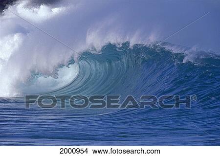 Picture - Hawaii, Oahu, North Shore, Side Angle View Large Curling Wave, Whitewash Spray. Fotosearch