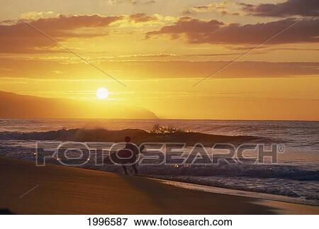 Hawaii, Oahu, North Shore, Silhouette Of Surfer Walking Out Of Ocean At Golden Sunset View Large Photo Image Stock Photo - Hawaii, Oahu, North Shore, Silhouette Of Surfer Walking Out Of Ocean At Golden Sunset. Fotosearch