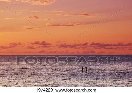 Stock Photo - Hawaii, Oahu, North Shore, Stand Up Paddling At Sunset.. Fotosearch
