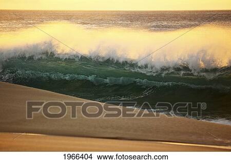 Picture - Hawaii, Oahu, North Shore, Sunset Light Illuminating Ocean Wave Along Beach.. Fotosearch