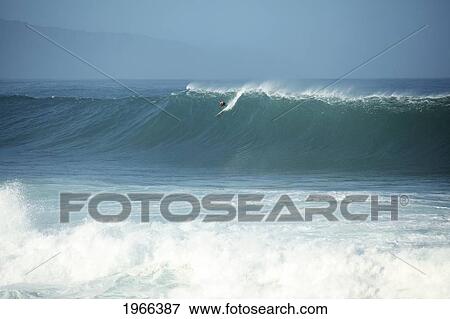 Stock Photo - Hawaii, Oahu, North Shore, Waimea Bay, Surfer Appears Tiny When Catching Giant Wave.. Fotosearch