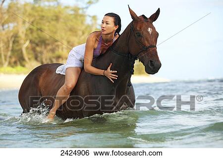 Hawaii, Oahu, North Shore, Woman posing on horse in ocean. View Large Photo Image Stock Photograph - Hawaii, Oahu, North Shore, Woman posing on horse in ocean.. Fotosearch