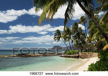 Stock Photo - Hawaii, Oahu, Paradise Cove Beach.. Fotosearch