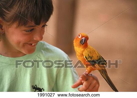 Stock Photo - Hawaii, Oahu, Paradise Cove Luau, Young Girl With Tropical Bird, Parrot. Fotosearch