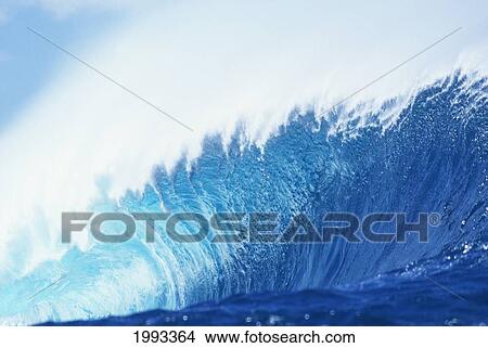 Picture - Hawaii, Oahu, Perfect Wave At Pipeline.. Fotosearch
