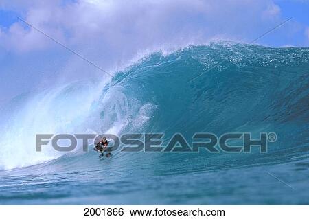 Stock Photograph - Hawaii, Oahu, Pipeline, Mike Stewart World Champion Body Boarder, Rides Crashing Wave. Fotosearch