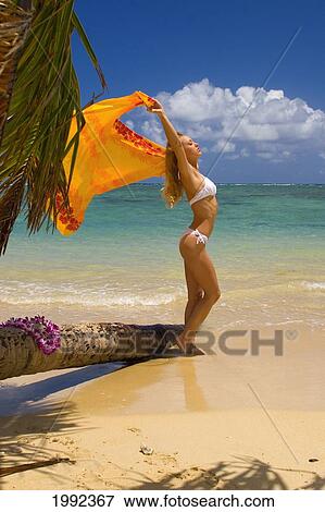 Hawaii, Oahu, Punaluu Beach, Beautiful Young Woman Holding Pareo Nest To Palm Tree. View Large Photo Image Stock Photo - Hawaii, Oahu, Punaluu Beach, Beautiful Young Woman Holding Pareo Nest To Palm Tree.. Fotosearch