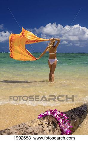 Hawaii, Oahu, Punaluu Beach, Beautiful Young Woman Standing In Ocean Holding Pareo, Lei In Foreground. View Large Photo Image Stock Photo - Hawaii, Oahu, Punaluu Beach, Beautiful Young Woman Standing In Ocean Holding Pareo, Lei In Foreground.. Fotosearch