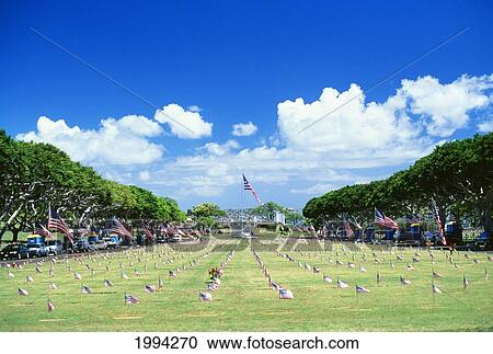 Hawaii, Oahu, Punchbowl Cemetary, American Flag In Distance, Graves With Individual Flags Surrounding View Large Photo Image Stock Image - Hawaii, Oahu, Punchbowl Cemetary, American Flag In Distance, Graves With Individual Flags Surrounding. Fotosearch