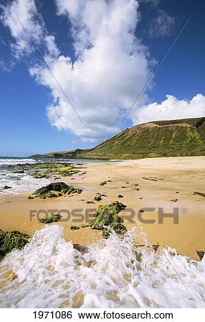 Hawaii, Oahu, Sandy Beach With Koko Head In Background. View Large Photo Image Stock Photograph - Hawaii, Oahu, Sandy Beach With Koko Head In Background.. Fotosearch