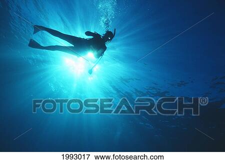 Stock Photo - Hawaii, Oahu, Silhouette Of Scuba Diver Near The Surface Above Mahi Wreck.. Fotosearch