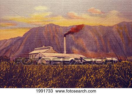 Stock Image - Hawaii, Oahu, Sugar Mill With Smoke From Chimney, Distant Mountain Range, Antique Postcard Curteich. Fotosearch