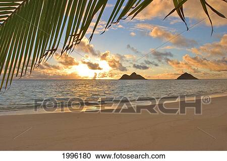 Hawaii, Oahu, Sunrise Over Mokulua Islands, Golden Light, Dramatic Sky And Ocean View Large Photo Image Stock Image - Hawaii, Oahu, Sunrise Over Mokulua Islands, Golden Light, Dramatic Sky And Ocean. Fotosearch