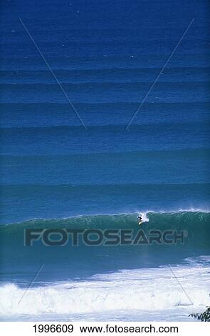 Hawaii, Oahu, Sunset Beach, View From Afar, Set Of Rolling Waves With Surfer Catching Wave View Large Photo Image Stock Photo - Hawaii, Oahu, Sunset Beach, View From Afar, Set Of Rolling Waves With Surfer Catching Wave. Fotosearch