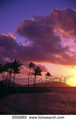 Stock Photography - Hawaii, Oahu, Tropical Sunrise Silhouettes Palms With Koko Head In Background. Fotosearch