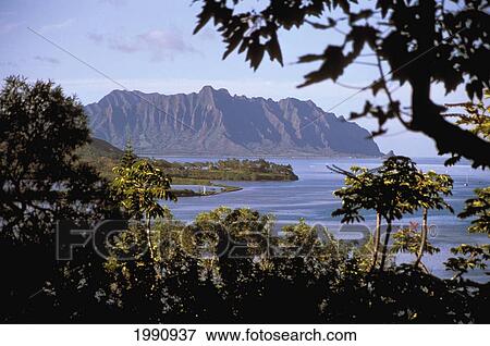 Stock Photo - Hawaii, Oahu, View From Shadows Of Kaneohe Bay In Afternoon.. Fotosearch