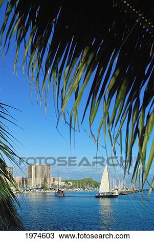 Hawaii, Oahu, Waikiki, Ala Wai Canal With Sailboats And Palm Tree In Foregrond. View Large Photo Image Stock Image - Hawaii, Oahu, Waikiki, Ala Wai Canal With Sailboats And Palm Tree In Foregrond.. Fotosearch