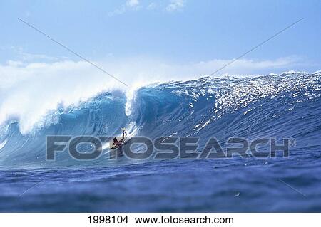 Picture - Hawaii, Oahu, Waikiki, Alex Putnis Body Boarder Riding Shimmery Wave, Front Angle. Fotosearch