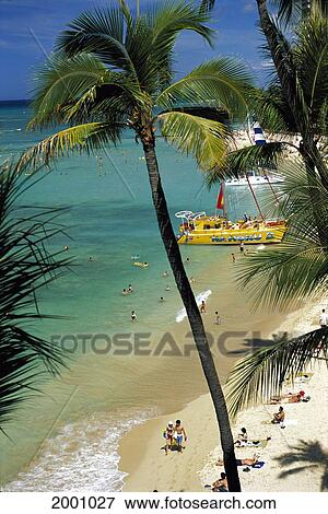 Stock Photo - Hawaii, Oahu, Waikiki Beach View From Above Palm Tree Shoreline With People Catamaran Na Hoku Ii. Fotosearch