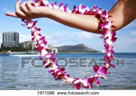 Hawaii, Oahu, Waikiki, Female Hand Holding An Orchid Lei Framing Diamond Head And Waikiki Beach. View Large Photo Image Stock Photograph - Hawaii, Oahu, Waikiki, Female Hand Holding An Orchid Lei Framing Diamond Head And Waikiki Beach.. Fotosearch