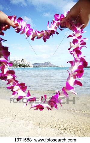 Stock Photo - Hawaii, Oahu, Waikiki, Female Hands Holding An Orchid Lei Framing Diamond Head And Waikiki Beach.. Fotosearch