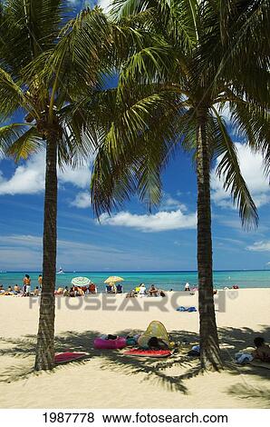 Stock Photo - Hawaii, Oahu, Waikiki, Queen's Beach Crowded With Tourists, Two Palm Trees In Foreground. Fotosearch