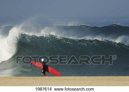 Picture - Hawaii, Oahu, Waimea Bay, Surfer Walking On Beach Wearing Helmet, Big Shorebreak. Fotosearch