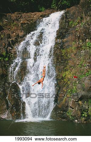 Picture - Hawaii, Oahu, Waimea Falls, Man Diving From Top Of The Waterfall.. Fotosearch
