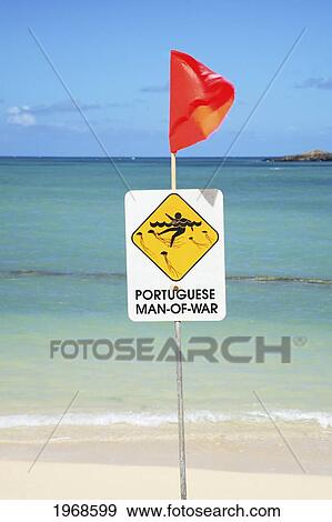 Hawaii, Oahu, Warning Sign Posted On The Beach Of Portugese Man-O-War Warning Swimmers View Large Photo Image Stock Photo - Hawaii, Oahu, Warning Sign Posted On The Beach Of Portugese Man-O-War Warning Swimmers. Fotosearch