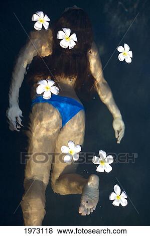 Stock Photo - Hawaii, Oahu, Woman In A Blue Bikini Swimming Underwater With Plumerias Floating On The Surface.. Fotosearch