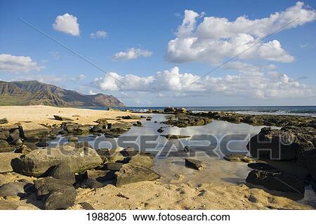 Hawaii, Oahu, Yokohama Bay, Waianae, Rocky Beach And Calm Ocean View Large Photo Image Stock Photography - Hawaii, Oahu, Yokohama Bay, Waianae, Rocky Beach And Calm Ocean. Fotosearch