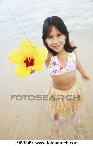 Hawaii, Oahu, Young Girl Holding A Hibiscus Flower. View Large Photo Image Stock Photo - Hawaii, Oahu, Young Girl Holding A Hibiscus Flower.. Fotosearch
