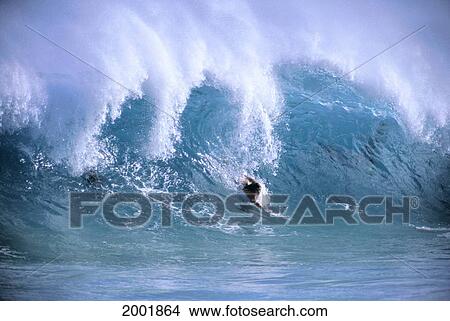 Hawaii, Oahu, Young Man Body Surfing Large Cresting Wave, Spray On Tips View Large Photo Image Picture - Hawaii, Oahu, Young Man Body Surfing Large Cresting Wave, Spray On Tips. Fotosearch