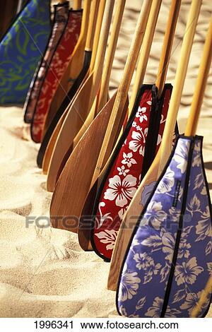 Stock Image - Hawaii, Paddles With Aloha Print Covers Lined Up Across Sand. Fotosearch