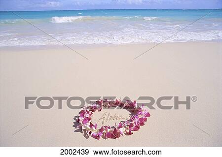Hawaii, Purple Orchid Lei, Aloha Written In The Sand, Turquoise Ocean Background View Large Photo Image Stock Photo - Hawaii, Purple Orchid Lei, Aloha Written In The Sand, Turquoise Ocean Background. Fotosearch