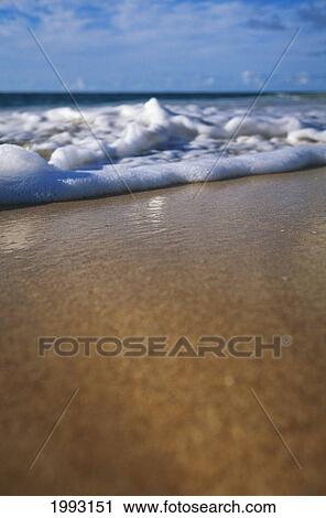 Hawaii, Ripple Of Water And Seafoam Breaks On Sandy Shore. View Large Photo Image Stock Image - Hawaii, Ripple Of Water And Seafoam Breaks On Sandy Shore.. Fotosearch