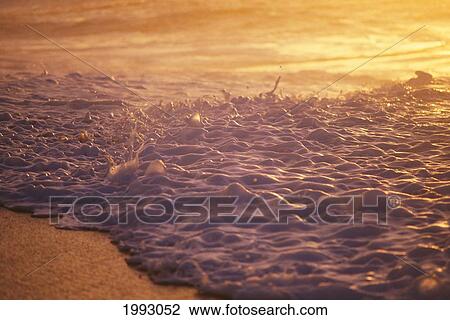 Hawaii, Sea Foam At Shoreline, Sunset. View Large Photo Image Stock Image - Hawaii, Sea Foam At Shoreline, Sunset.. Fotosearch