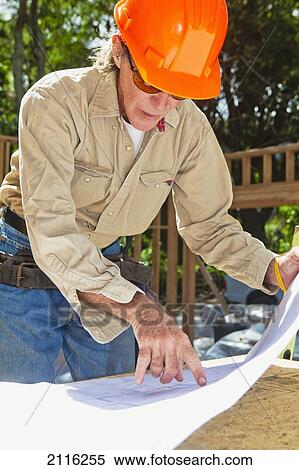 Hawaii, Senior male construction worker reading blueprints at a construction site. View Large Photo Image Stock Photography - Hawaii, Senior male construction worker reading blueprints at a construction site.. Fotosearch