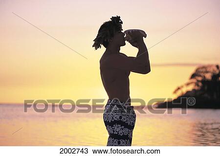 Hawaii, Side View Of Male Conch Shell Blower In Sarong, Haku Lei, Golden Sunset Light View Large Photo Image Stock Image - Hawaii, Side View Of Male Conch Shell Blower In Sarong, Haku Lei, Golden Sunset Light. Fotosearch