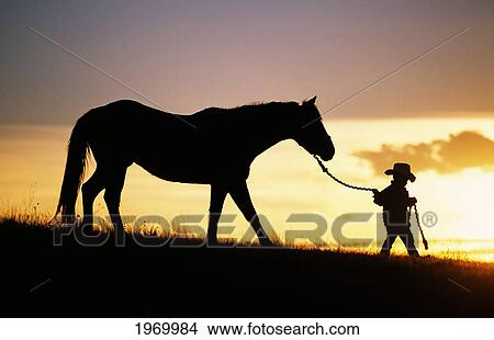 Picture - Hawaii, Silhouette Of Boy Leading Horse Along Grassy Hillside At Sunset.. Fotosearch