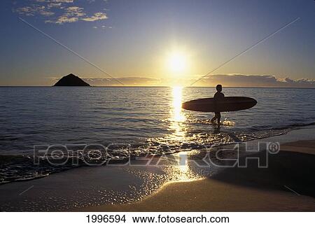 Picture - Hawaii, Silhouetted Surfer On Shore At Sunrise, Gold Light, Island Background. Fotosearch