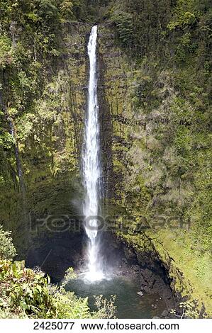 Stock Photo - Hawaii, South Hilo, Akaka Falls State Park, Waterfall surrounded by lush foliage.. Fotosearch