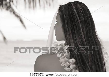 Hawaii, Teenage Surfer Girl Wearing A Plumeria Lei And Holding Surfboard, View From Behind (Sepia Photograph). View Large Photo Image Stock Image - Hawaii, Teenage Surfer Girl Wearing A Plumeria Lei And Holding Surfboard, View From Behind (Sepia Photograph).. Fotosearch