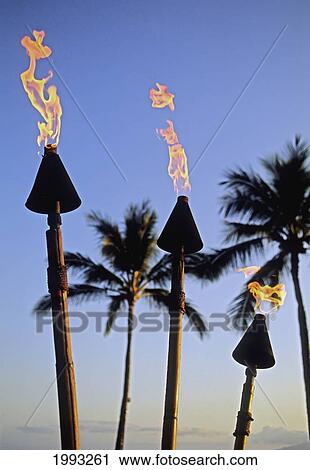 Hawaii, Tiki Torches Lit At Dusk, Palm Trees And Blue Sky View Large Photo Image Stock Image - Hawaii, Tiki Torches Lit At Dusk, Palm Trees And Blue Sky. Fotosearch