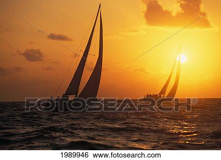 Hawaii, Two Sailboats Silhouetted At Sunset, Yellow And Orange Skies View Large Photo Image Stock Photograph - Hawaii, Two Sailboats Silhouetted At Sunset, Yellow And Orange Skies. Fotosearch