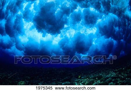 Hawaii, Underwater View Of Powerful Wave Breaking Over Shallow Coral Reef. View Large Photo Image Stock Photography - Hawaii, Underwater View Of Powerful Wave Breaking Over Shallow Coral Reef.. Fotosearch