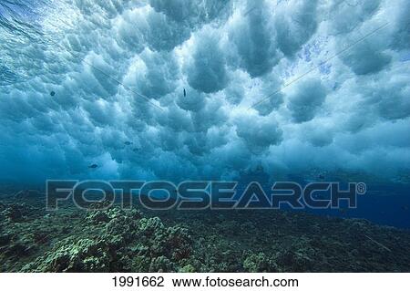 Hawaii, Underwater View Of Wave Breaking Over Shallow Reef. View Large Photo Image Stock Image - Hawaii, Underwater View Of Wave Breaking Over Shallow Reef.. Fotosearch