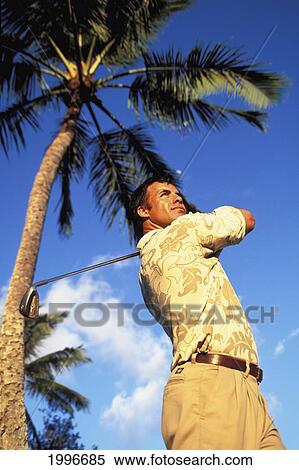 Stock Photography - Hawaii, Upward Angle Of Golfer. Blue Sky And Palm Tree Background. Fotosearch